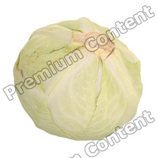 White Cabbage 3D Scan Retopo